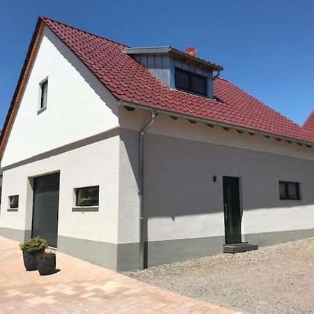 Апартаменти Fewo Stubenhocker Pleisweiler-Oberhofen Екстер'єр фото